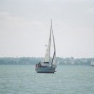 Wilkasy 2005