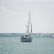 Wilkasy 2005